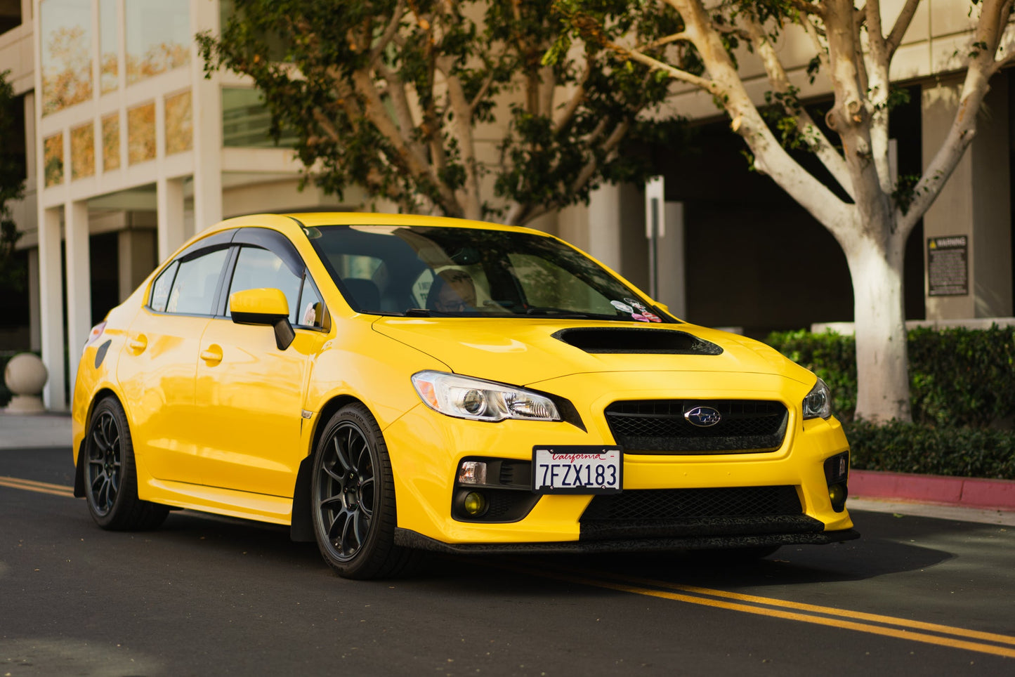 Speed Academy Spec Annex Suspension FastRoad Elite Subaru 2015+ Impreza WRX